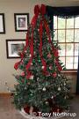 El árbol de navidad encantado -Marina García